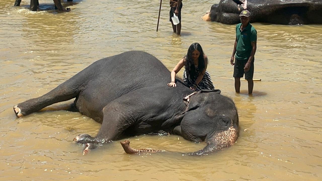 Travel with Chanaka Guest Tour